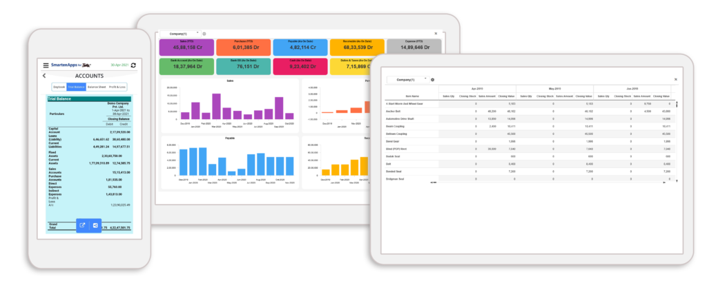 Analytics Makes Tally ERP More Than Financial Software