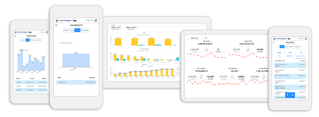 Providing Data Analytics for Accountants and Finance Can Add Value to Tally ERP